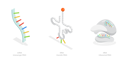 پیش‌نمایش فایل types-of-rna-10393455 از پک مجموعه موضوعات متنوع ۰۸۴