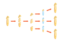 پیش‌نمایش فایل planaria-regeneration-10393394 از پک مجموعه موضوعات متنوع ۰۸۲