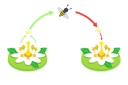 پیش‌نمایش فایل pollination-process-diagram-10393398 از پک مجموعه موضوعات متنوع ۰۸۲