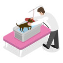 پیش‌نمایش فایل dog-getting-groomed-at-professional-pet-barber-shop-10445585 از پک مجموعه موضوعات متنوع ۱۰۱