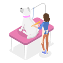 پیش‌نمایش فایل dog-getting-groomed-at-professional-pet-barber-shop-10445539 از پک مجموعه موضوعات متنوع ۱۰۰