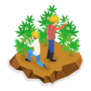 پیش‌نمایش فایل young-man-doing-hemp-farming-10445397 از پک مجموعه موضوعات متنوع ۰۹۷