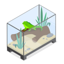 پیش‌نمایش فایل exotic-pets-10730733 از پک مجموعه موضوعات متنوع ۱۱۲