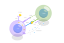 پیش‌نمایش فایل tcell-dependent-bcell-activation-10730707 از پک مجموعه موضوعات متنوع ۱۱۲