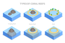 پیش‌نمایش فایل types-of-coral-reefs-10730708 از پک مجموعه موضوعات متنوع ۱۱۲