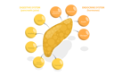 پیش‌نمایش فایل pancreas-function-10730584 از پک مجموعه موضوعات متنوع ۱۰۹