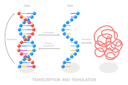 پیش‌نمایش فایل dna-directed-synthesis-of-rna-10730746 از پک مجموعه موضوعات متنوع ۱۱۳