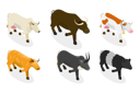 پیش‌نمایش فایل bulls-and-cows-10730485 از پک مجموعه موضوعات متنوع ۱۰۶
