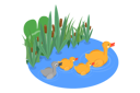 پیش‌نمایش فایل waterfowls-swimming-in-pond-10730499 از پک مجموعه موضوعات متنوع ۱۰۶