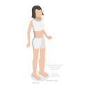 پیش‌نمایش فایل swollen-ankles-and-feet-10851316 از پک مجموعه موضوعات متنوع ۱۲۵