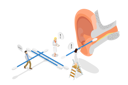پیش‌نمایش فایل man-and-woman-cleaning-ear-canal-10851358 از پک مجموعه موضوعات متنوع ۱۲۶