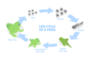 پیش‌نمایش فایل life-cycle-of-frog-10851685 از پک مجموعه موضوعات متنوع ۱۳۴