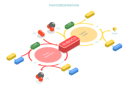 پیش‌نمایش فایل oxidative-photosynthetic-carbon-cycle-10851680 از پک مجموعه موضوعات متنوع ۱۳۴