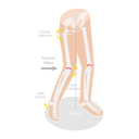 پیش‌نمایش فایل mechanism-of-acl-injury-10851715 از پک مجموعه موضوعات متنوع ۱۳۵