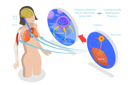 پیش‌نمایش فایل labeled-medical-virus-infection-symptoms-explanation-scheme-10851731 از پک مجموعه موضوعات متنوع ۱۳۶