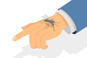 پیش‌نمایش فایل misquito-bite-and-blood-sucking-insects-10851867 از پک مجموعه موضوعات متنوع ۱۳۹