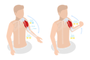 پیش‌نمایش فایل anatomical-contracted-and-relaxed-arm-muscular-10851879 از پک مجموعه موضوعات متنوع ۱۴۰