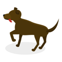 پیش‌نمایش فایل pet-care-11249542 از پک مجموعه موضوعات متنوع ۱۰۷