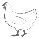 پیش‌نمایش فایل hen-11249515 از پک مجموعه موضوعات متنوع ۱۰۶