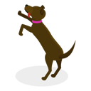 پیش‌نمایش فایل pet-care-11249489 از پک مجموعه موضوعات متنوع ۱۰۶