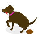 پیش‌نمایش فایل pet-care-11249598 از پک مجموعه موضوعات متنوع ۱۰۸