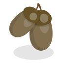پیش‌نمایش فایل acorns-11250352 از پک مجموعه موضوعات متنوع ۱۲۳