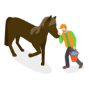 پیش‌نمایش فایل man-having-hippotherapy-11250237 از پک مجموعه موضوعات متنوع ۱۲۰