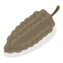 پیش‌نمایش فایل acorns-and-cones-11358099 از پک مجموعه موضوعات متنوع ۱۲۶