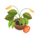 پیش‌نمایش فایل dying-plant-11358104 از پک مجموعه موضوعات متنوع ۱۲۶