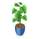 پیش‌نمایش فایل houseplants-item-6-11358091 از پک مجموعه موضوعات متنوع ۱۲۶