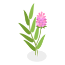 پیش‌نمایش فایل medical-herbs-and-berries-11358067 از پک مجموعه موضوعات متنوع ۱۲۶
