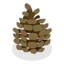 پیش‌نمایش فایل acorns-and-cones-11358207 از پک مجموعه موضوعات متنوع ۱۲۷