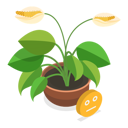 پیش‌نمایش فایل dying-plant-11358213 از پک مجموعه موضوعات متنوع ۱۲۷