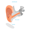 پیش‌نمایش فایل human-ear-anatomy-11358193 از پک مجموعه موضوعات متنوع ۱۲۷