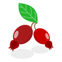 پیش‌نمایش فایل medical-herbs-and-berries-11358177 از پک مجموعه موضوعات متنوع ۱۲۷