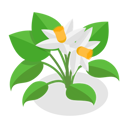 پیش‌نمایش فایل plants-in-pots-11358183 از پک مجموعه موضوعات متنوع ۱۲۷