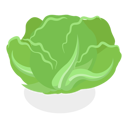 پیش‌نمایش فایل salad-greens-11358211 از پک مجموعه موضوعات متنوع ۱۲۷