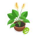 پیش‌نمایش فایل dying-plant-11358282 از پک مجموعه موضوعات متنوع ۱۲۸