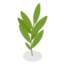 پیش‌نمایش فایل plants-in-pots-11358251 از پک مجموعه موضوعات متنوع ۱۲۸