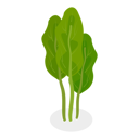 پیش‌نمایش فایل salad-greens-11358279 از پک مجموعه موضوعات متنوع ۱۲۸