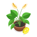 پیش‌نمایش فایل dying-plant-11358329 از پک مجموعه موضوعات متنوع ۱۲۹