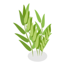 پیش‌نمایش فایل plants-in-pots-11358300 از پک مجموعه موضوعات متنوع ۱۲۹