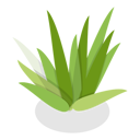 پیش‌نمایش فایل plants-in-pots-11358349 از پک مجموعه موضوعات متنوع ۱۳۰