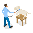 پیش‌نمایش فایل dog-training-scenes-12725065 از پک مجموعه موضوعات متنوع ۱۸۸