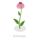 پیش‌نمایش فایل flower-12725084 از پک مجموعه موضوعات متنوع ۱۸۸