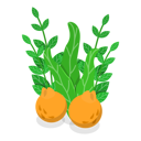 پیش‌نمایش فایل herbal-plant-12725047 از پک مجموعه موضوعات متنوع ۱۸۸