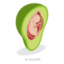 پیش‌نمایش فایل embryo-monthly-growth-stages-12724921 از پک مجموعه موضوعات متنوع ۱۸۵