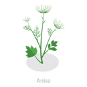 پیش‌نمایش فایل healing-herbs-12724944 از پک مجموعه موضوعات متنوع ۱۸۵