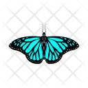 پیش‌نمایش فایل monarch-butterfly-10609642 از پک پروانه گسترده