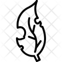پیش‌نمایش فایل dead-leaf-11274241 از پک وب